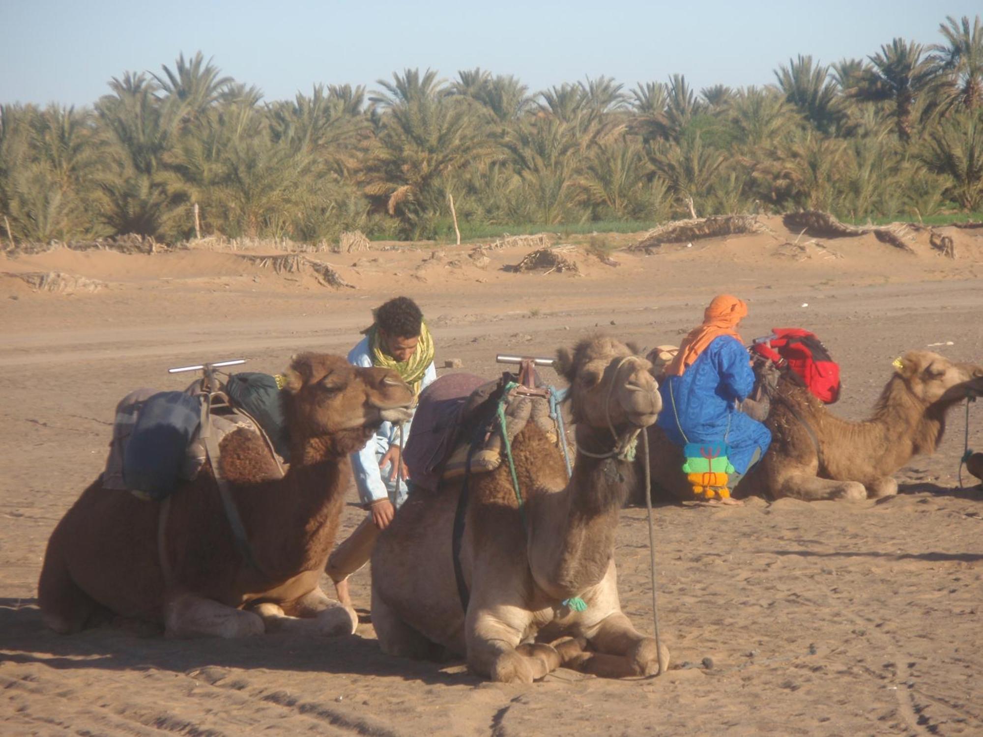 Riad Aicha & Camel Trekking Merzouga Exterior foto