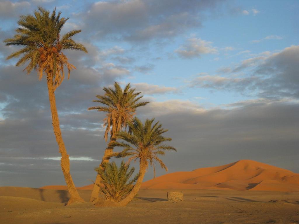 Riad Aicha & Camel Trekking Merzouga Exterior foto
